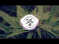 Sanfara Marijuana مريخوانا Visualizer Clean Version 