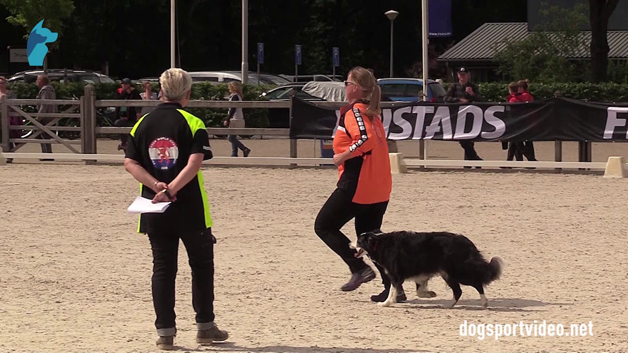 Selection - Daniëlle Stoutjesdijk + Blackpoint of beautiful Silence/Border Collie - Netherlands