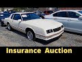 Insurance Auto Auction Lot Walk-Around