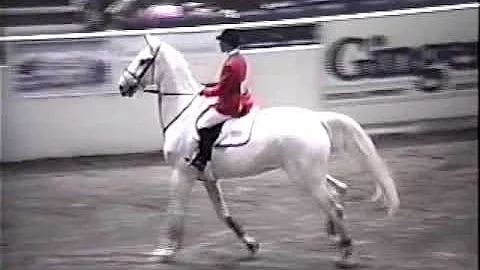 Margie Engle and Daydream clear 7'1" to win 1992 W...