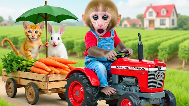 Monkey Nana Drives a tractor and embarks on a bizarre adventure with the thuder watermelon