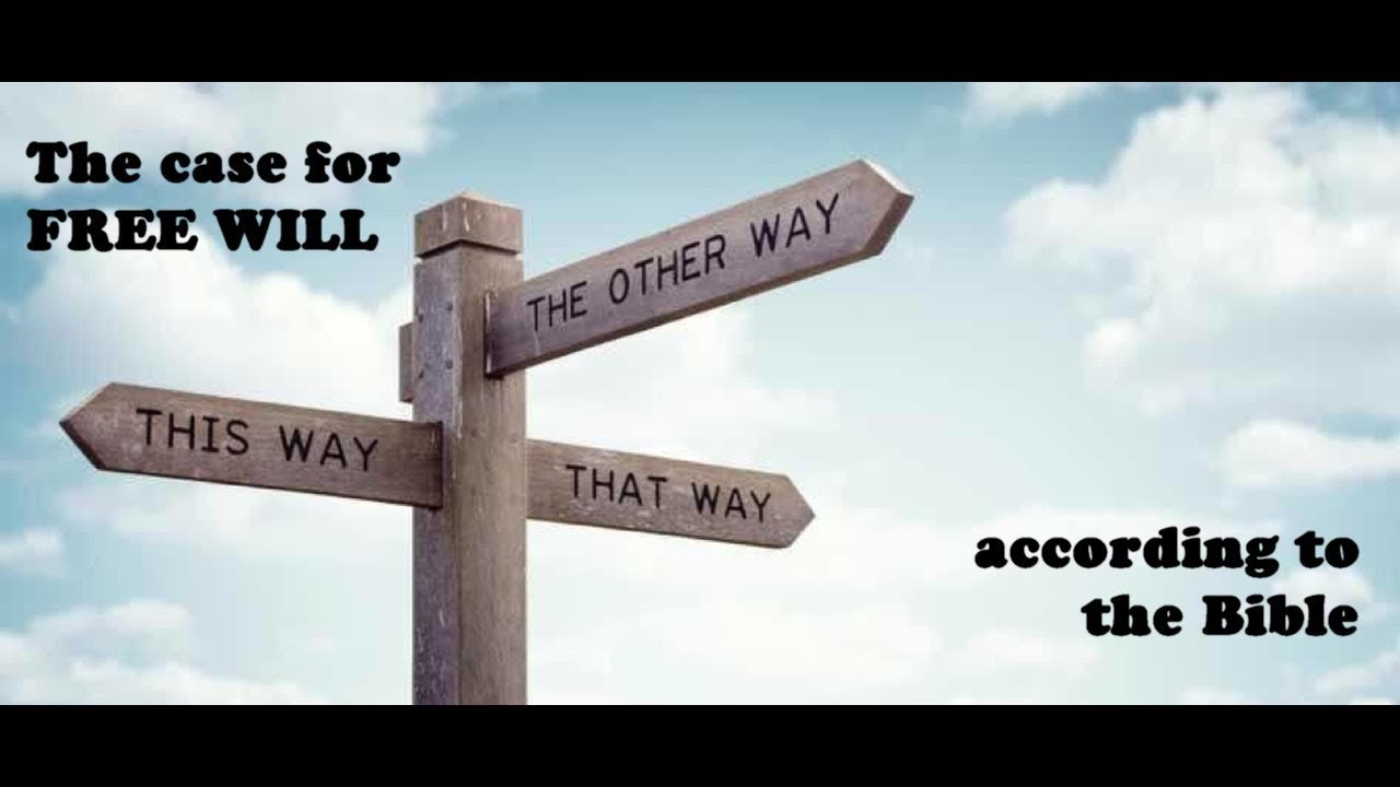 The case for FREE WILL according to the Bible - YouTube
