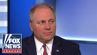 Rep. Steve Scalise on Trump's merit-based immigration plan
