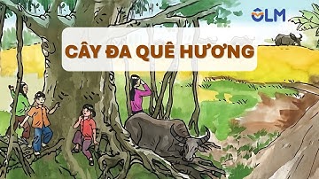 Cây đa quê hương - Tiếng Việt 4 - Kết nối tri thức với cuộc sống [OLM.VN]