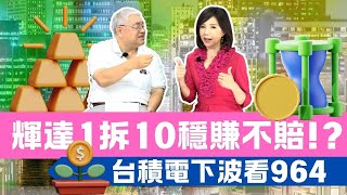 輝達1拆10~當股東穩賺不賠!?台積電下波看964【芳方面面理財】feat.杜金龍EP86