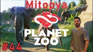 Mithrain - Planet Zoo #44 Lan temiz tutsanıza şurayı...|Mitopya screenshot 3