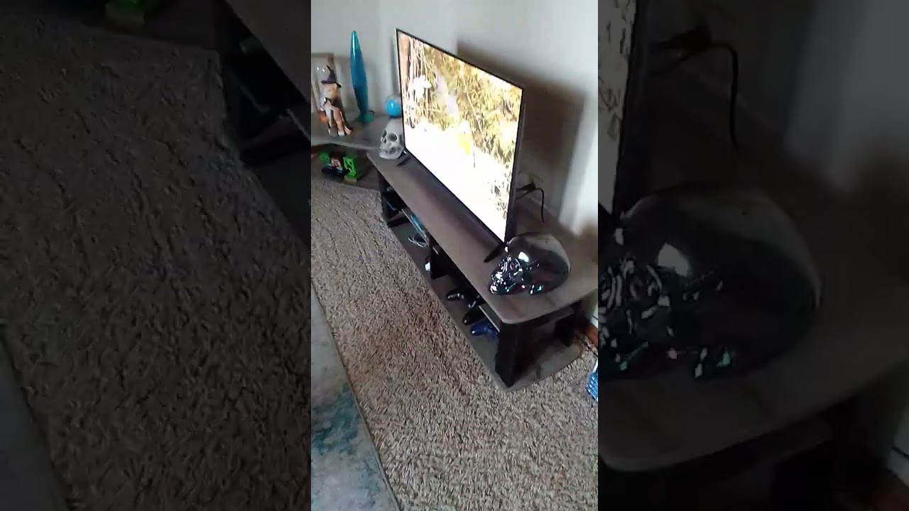 Everytime I watch birds I get confused