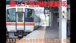 激レア特別快速編成 313 Z5+313 R113+311G6 枇杷島駅通過