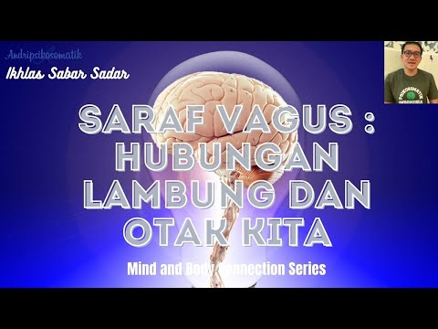 Video: Cara Mendiagnosis Kerosakan Saraf Vagus: 14 Langkah (dengan Gambar)