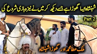 Nawab abbas khan hoti or ghory  Malik atta Muhammad horse Shehanshah  part 2