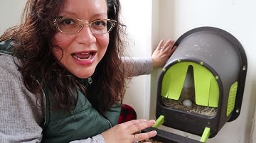 My Cozy Nest™ Single Hanging Chicken Hen Nesting Box