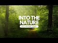 NATURE 4K VIDEO WITH REALXING SONG|| 4K HD VIDEO