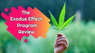 The Exodus Effect Program - Does The Exodus Effect Program Works? [REVIEW]