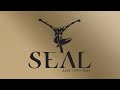 Seal  kiss from a rose official audio