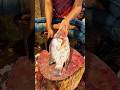 🔥😲 Amazon Big Tilapia fish cutting skills in live Fish cutting Fish market 3 #shorts #fishcutting