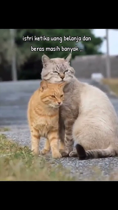 ketika suami baru gajian