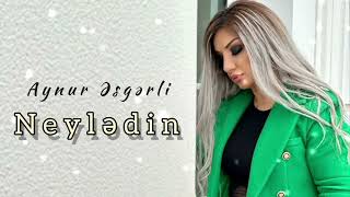 Aynur Esgerli Neyledin Resimi