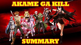 Akame ga Kill Summarised in 14 MINUTES