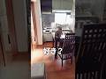 猫に「お父さんorお母さん、どっちが好き?」聞いた結果 #喋る猫 #まるも