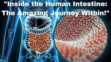 "Inside the Human Intestine: The Amazing Journey Within!"