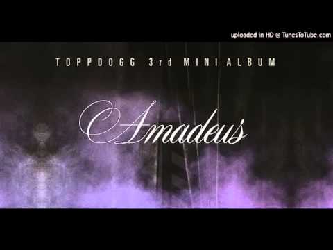 탑독 (+) 아마데우스 (Amadeus)