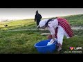 العايل دالحومة