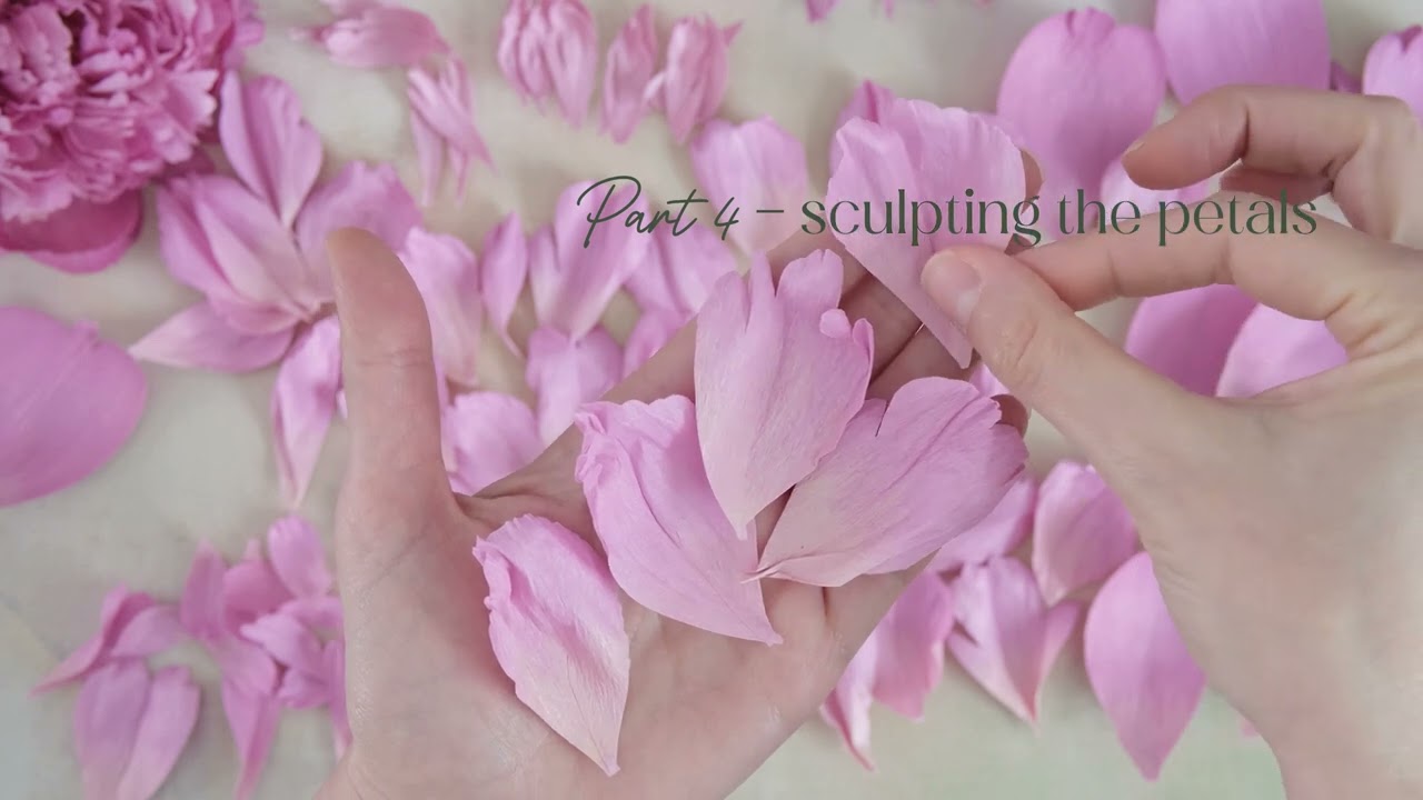 Pink Garden peony - real vs. paper.