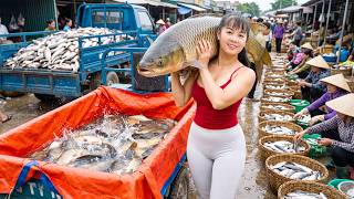 Joining The Village's Giant Fish Harvest - Catching Big Fish for the Village Market