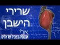 הסבר על שרירי עכוז הסבר על שרירי עכוז