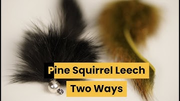 Guide Flies: Pine Squirrel Leech, Two Ways