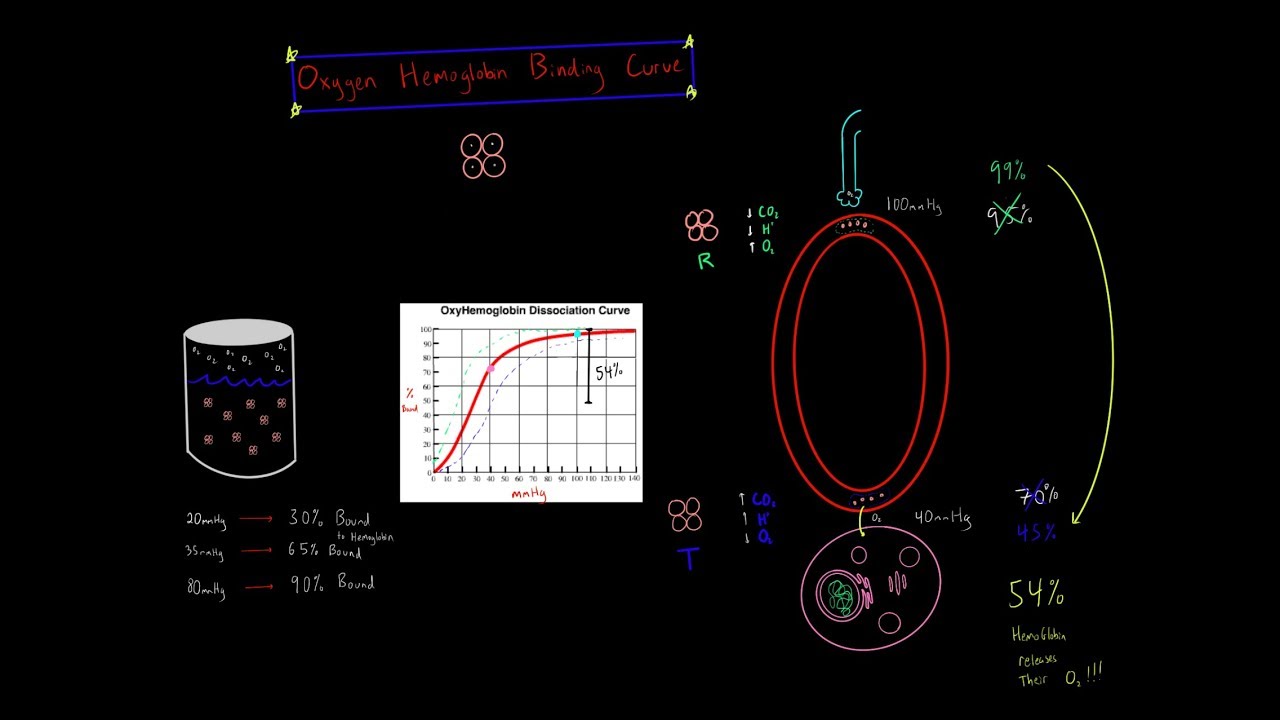 R State Vs T State Graph