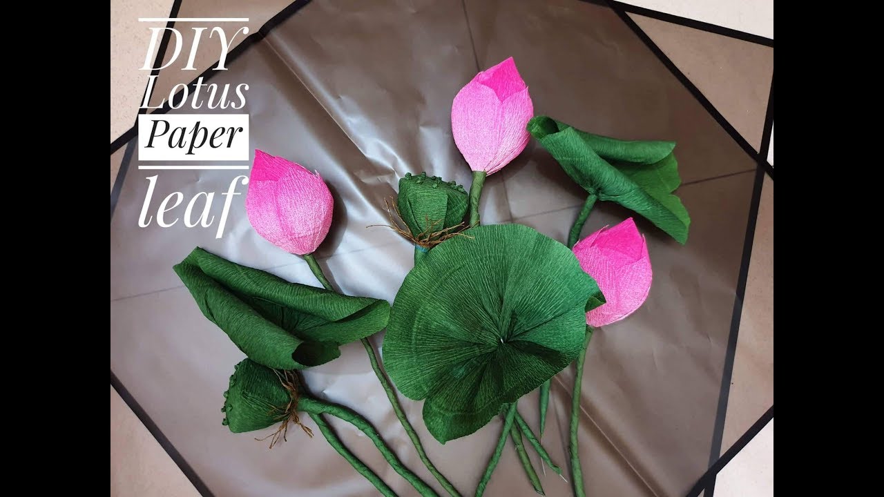 How To Make Lotus Paper Leaf From Crepe Paper Hướng Dẫn Làm Lá Sen