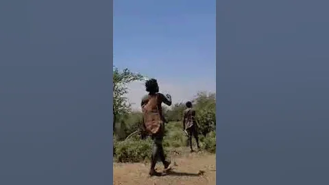 hunting and cooking Eating monkey Hadzabe Bush Trybe nice day