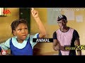 ANIMAL Mark Angel Comedy Episode 206