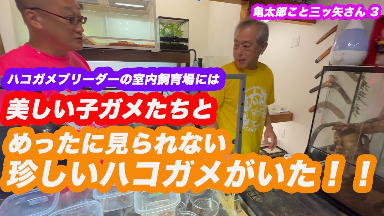 だっくす小峰ちゃんねる  亀太郎 ３