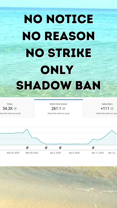YouTube Shadow Banned My Channel 2023