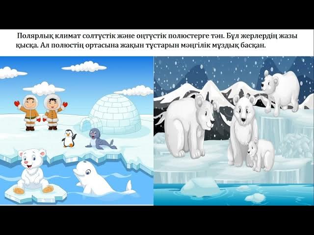 Таңғажайып денелері бар керемет балапандар беттері мен денелеріне сперманы сезінеді