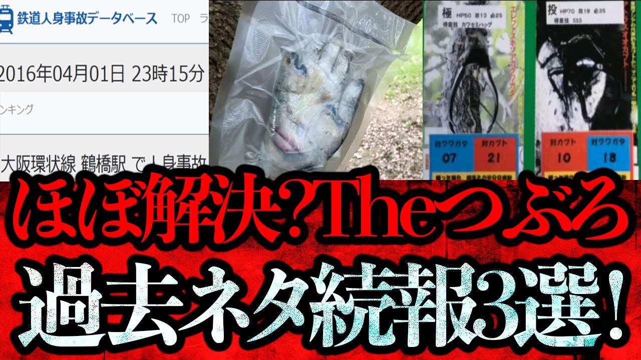 Theつぶろ過去ネタ続報3選！「謎の人身事故」「謎のチャンネル」「ムシキングのプロトタイプ」【続報】
