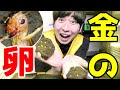 【貴重映像】リオックの採卵に挑戦した結果