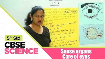 5th Std CBSE Science Syllabus | Sense organs - Care of eyes | CBSE Syllabus Part -45