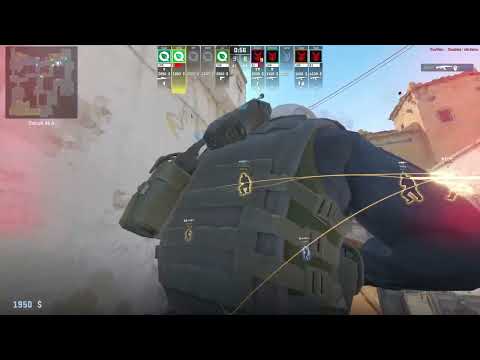 nettik POV against 3DMAX on Dust2
