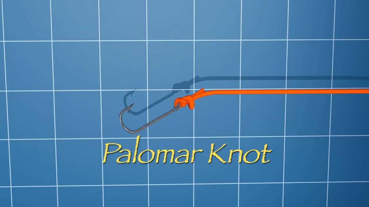 largemouth bass size Palomar Knot | Easy to Understand Animation