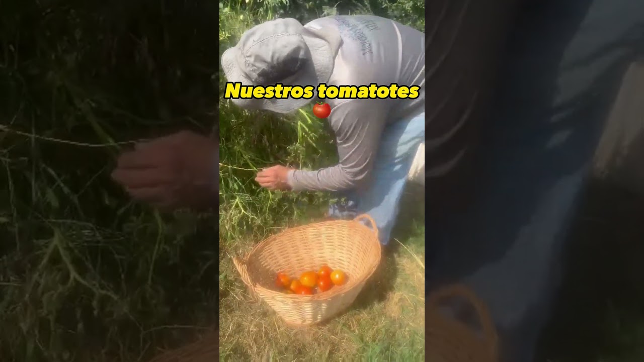 Días HERMOSOS en mi JADIN! By: Carmela Moreno