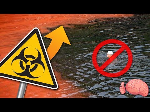 Video: ¿Está permitido nadar en los lagos?