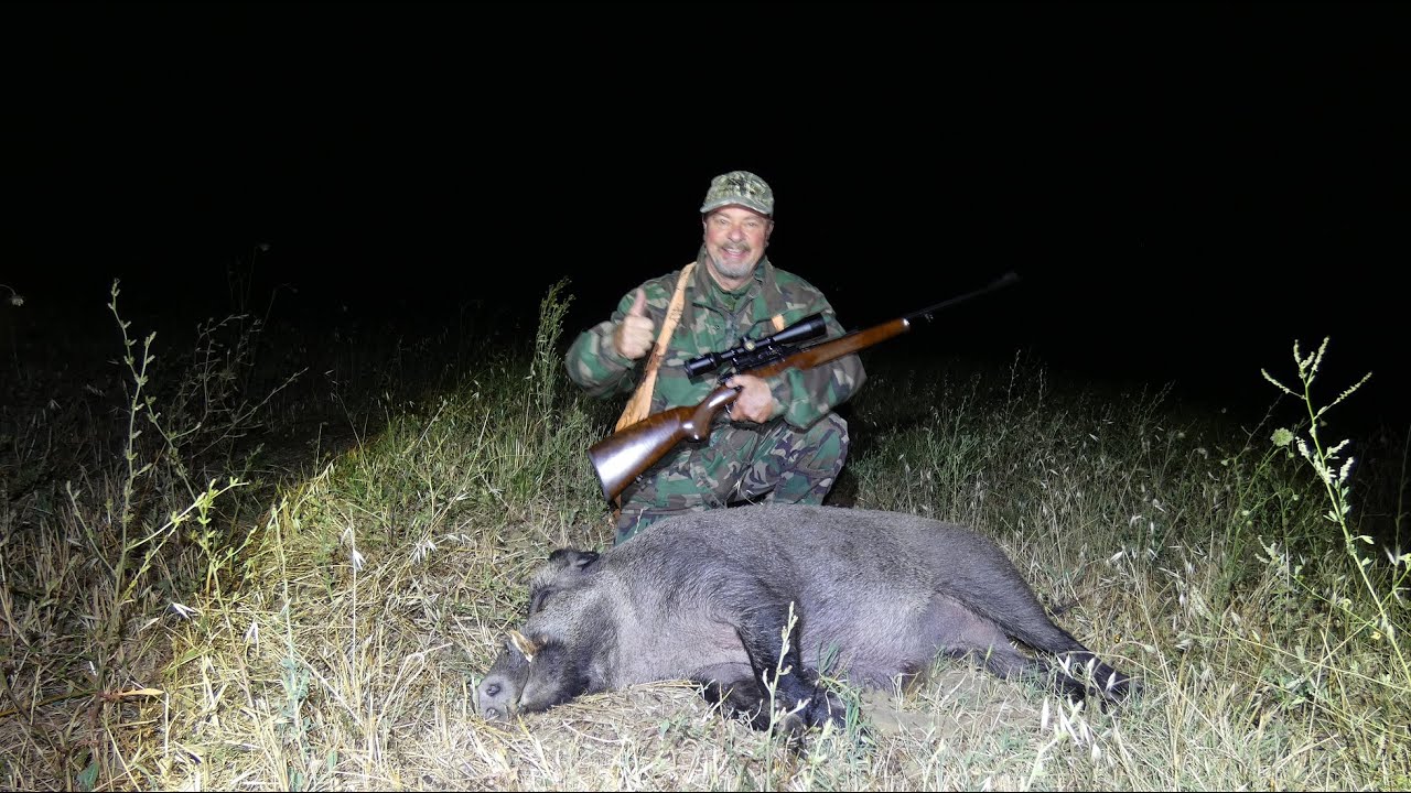 Hunting Field Test New Contessa Detach Mounts & LPA Sights for Mauser 98 - CZ550 Brno Zastava Mauser