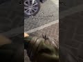 خق عليها بثواني