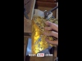 彫金 / 蝶   metalwork /butterfly