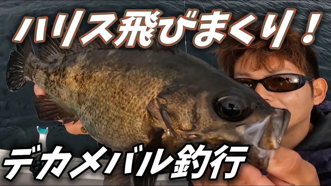 【尺メバル】船サビキ　vol.127