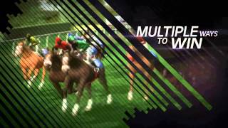 FatCat Virtual Horse Racing screenshot 3
