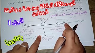 الوحدة02: العلاقة بين بنية و وظيفة البروتين||بكالوريا (الجزء1)